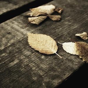 小受受扒开屁股挨🌿网站
